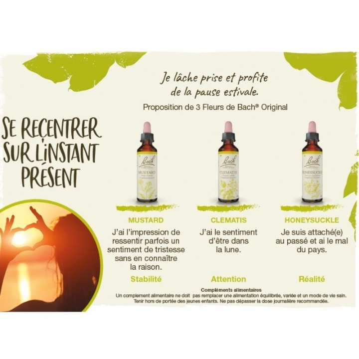 Clematis Bach Original - Fleur de Bach Authentique 20 ml (Clématite) Bach Original Nelsons 7 - mesfleursdebach.com 