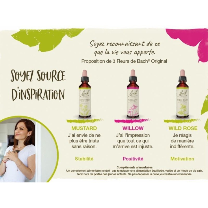 Wild Rose Bach Original - Fleur de Bach Authentique 20 ml (Églantine) Bach Original Nelsons 3 - mesfleursdebach.com 