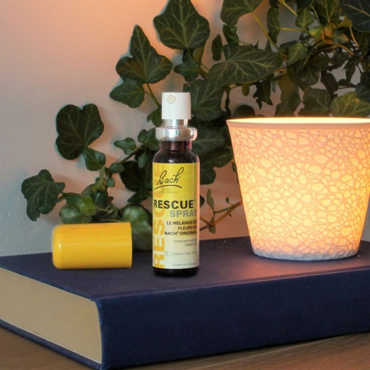 Rescue - Présentoir 12 Rescue spray jour 20 ml Bach Original Bach Original Nelsons 4 - mesfleursdebach.com 