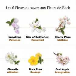 Les 6 Fleurs de Bach du savon Healing Herbs