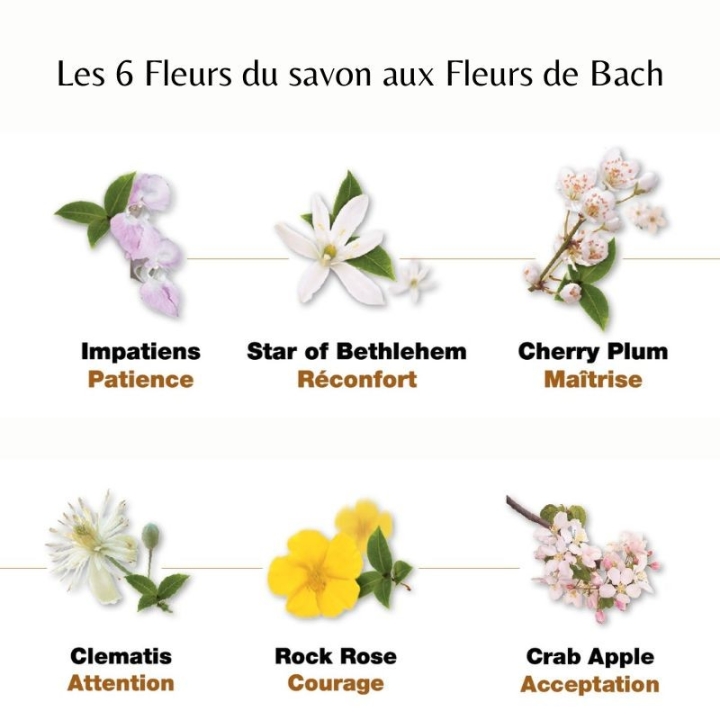 Healing Herbs - Savon aux 5 fleurs d'urgence Rescue, Miel, Propolis & Calendula - Julian Barnard Healing Herbs 6 - mesfleursdeba
