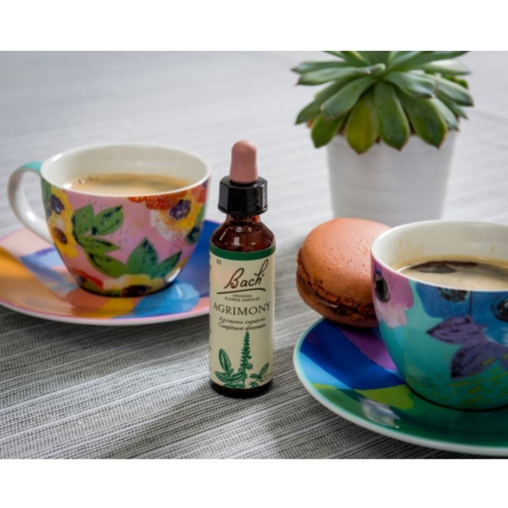Agrimony Bach Original - Fleur de Bach Authentique 20 ml (Aigremoine) Bach Original Nelsons 8 - mesfleursdebach.com 