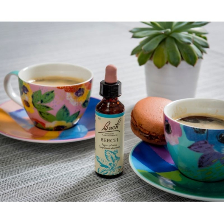 Beech Bach Original - Fleur de Bach Authentique 20 ml (Hêtre) Bach Original Nelsons 8 - mesfleursdebach.com 