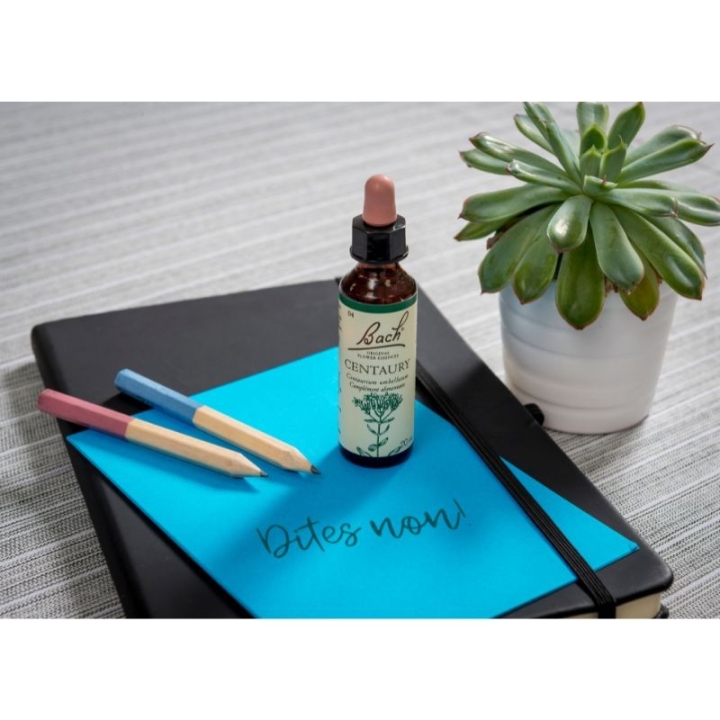 Centaury Bach Original - Fleur de Bach Authentique 20 ml (Centaurée) Bach Original Nelsons 9 - mesfleursdebach.com 