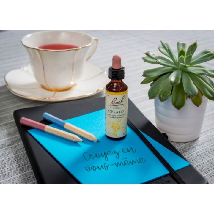 Cerato Bach Original - Fleur de Bach Authentique 20 ml (Plumbago) Bach Original Nelsons 8 - mesfleursdebach.com 