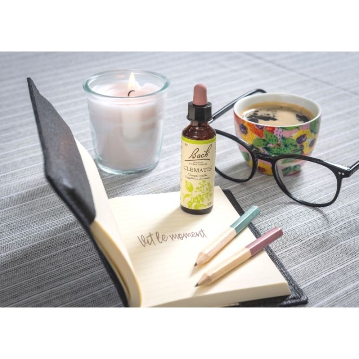 Clematis Bach Original - Fleur de Bach Authentique 20 ml (Clématite) Bach Original Nelsons 8 - mesfleursdebach.com 
