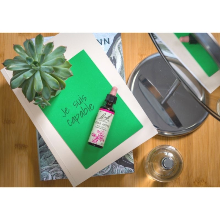 Crab Apple Bach Original - Fleur de Bach Authentique 20 ml (Pommier Sauvage) Bach Original Nelsons 8 - mesfleursdebach.com 