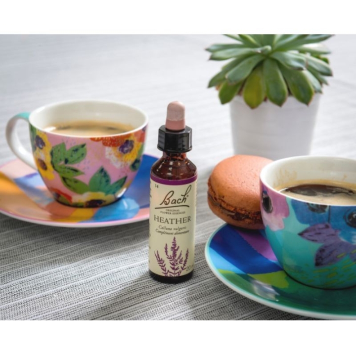 Heather Bach Original - Fleur de Bach Authentique 20 ml (Bruyère) Bach Original Nelsons 8 - mesfleursdebach.com 