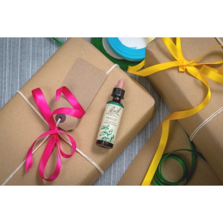 Holly Bach Original - Fleur de Bach Authentique 20 ml (Houx) Bach Original Nelsons 8 - mesfleursdebach.com 