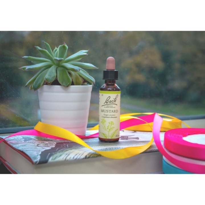 Mustard Bach Original - Fleur de Bach Authentique 20 ml (Moutarde) Bach Original Nelsons 8 - mesfleursdebach.com 