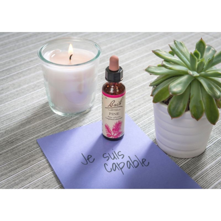 Pine Bach Original - Fleur de Bach Authentique 20 ml (Pin Sylvestre) Bach Original Nelsons 8 - mesfleursdebach.com 