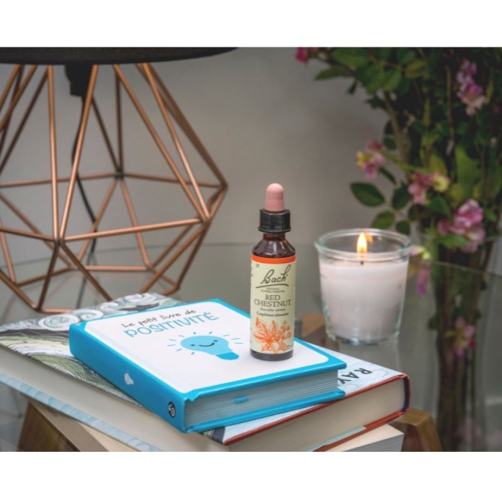 Red Chestnut Bach Original - Fleur de Bach Authentique 20 ml (Marronnier Rouge) Bach Original Nelsons 8 - mesfleursdebach.com 