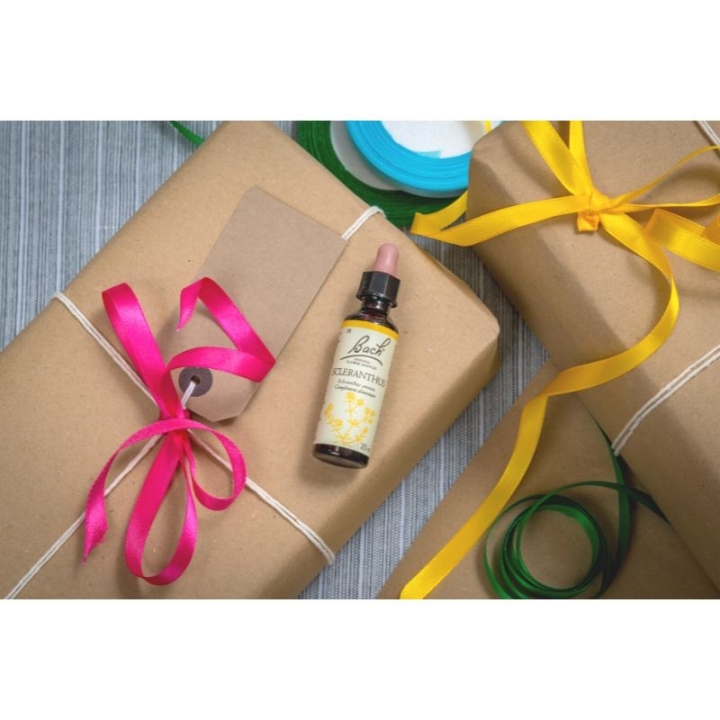 Scleranthus Bach Original - Fleur de Bach Authentique 20 ml (Alène) Bach Original Nelsons 8 - mesfleursdebach.com 
