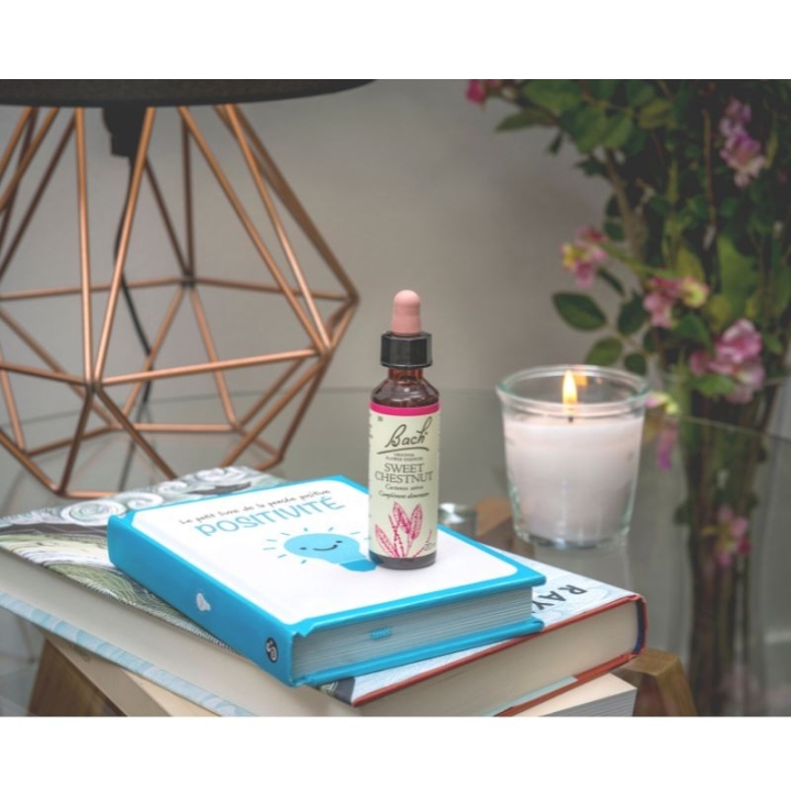 Sweet Chestnut Bach Original - Fleur de Bach Authentique 20 ml (Châtaignier) Bach Original Nelsons 8 - mesfleursdebach.com 