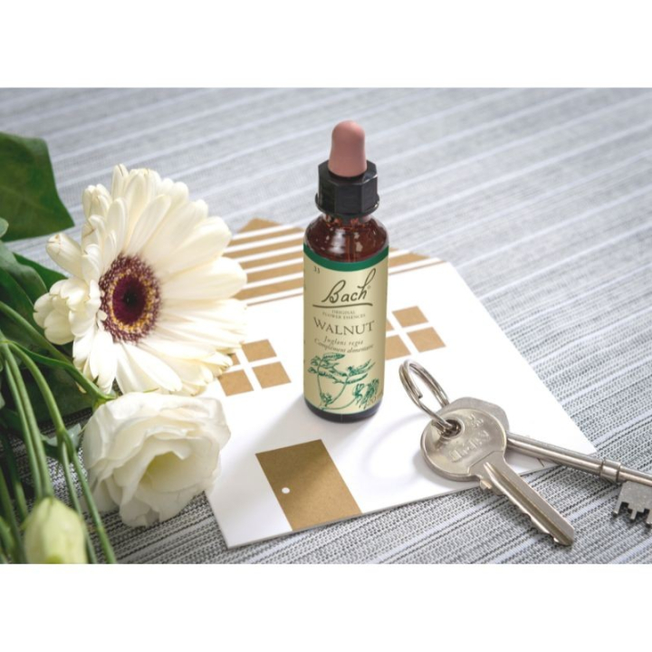 Walnut Bach Original - Fleur de Bach Authentique 20 ml (Noyer) Bach Original Nelsons 8 - mesfleursdebach.com 