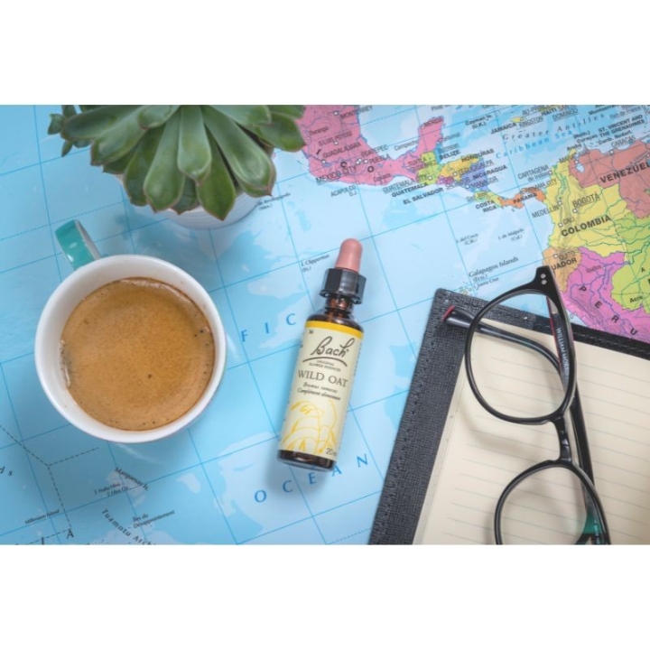 Wild Oat Bach Original - Fleur de Bach Authentique 20 ml (Folle Avoine) Bach Original Nelsons 8 - mesfleursdebach.com 