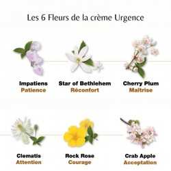 Les 6 Fleurs de la crème Urgence Rescue mes fleurs de Bach Original Healing Herbs