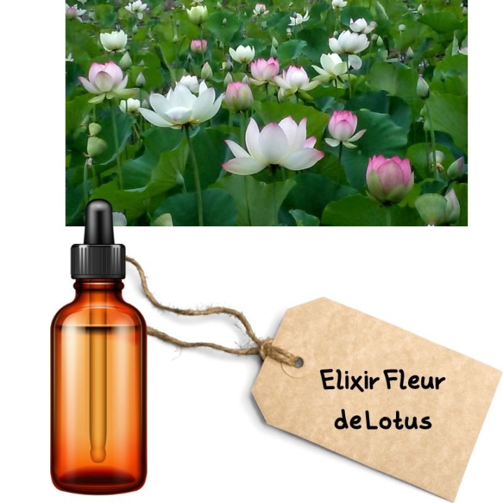 Deva - Crème Assistance 50 ml Deva 6 - mesfleursdebach.com 