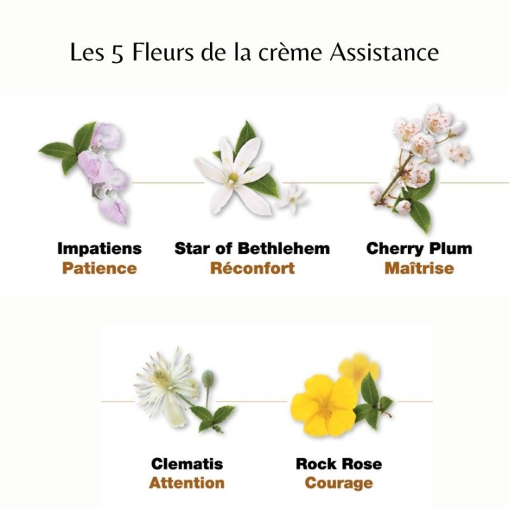 Deva - Crème Assistance 50 ml Deva 5 - mesfleursdebach.com 