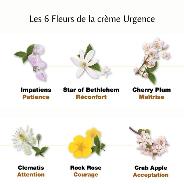 Healing Herbs - Crème d'urgence Rescue 30 ml en tube - Julian Barnard Healing Herbs 3 - mesfleursdebach.com 
