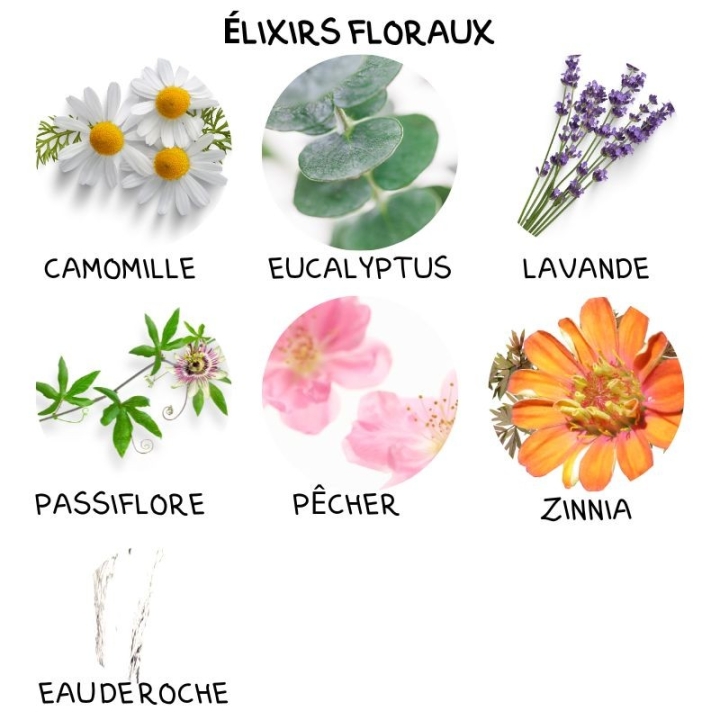 Crème de massage Séréni’T 75 ML Alchimy Alchimy 9 - mesfleursdebach.com 
