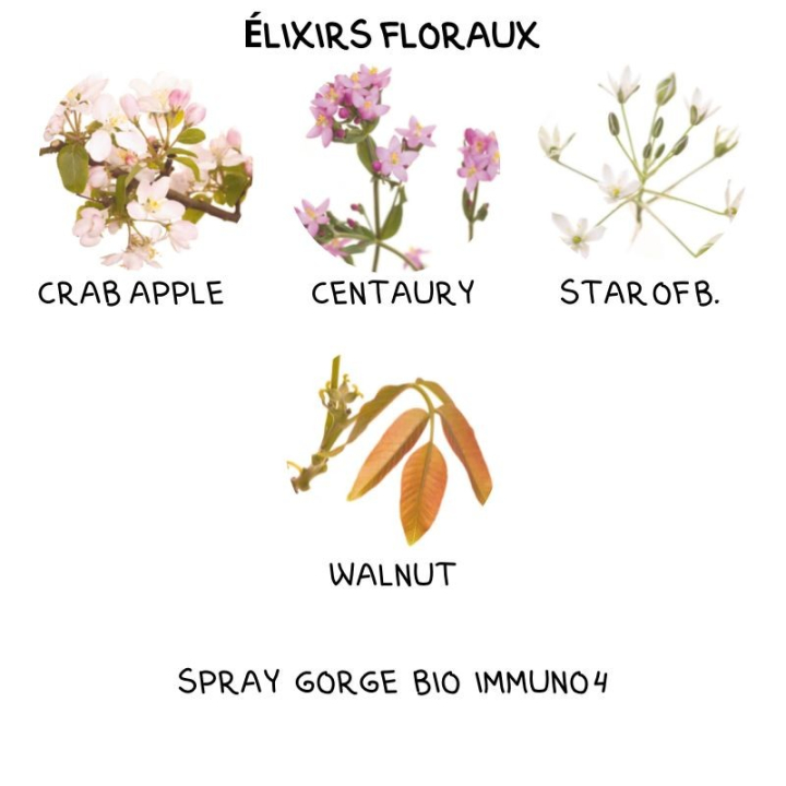 Spray gorge Bio Immuno4 50 ml aux fleurs de Bach Laboratoire Mint-e 6 - mesfleursdebach.com 