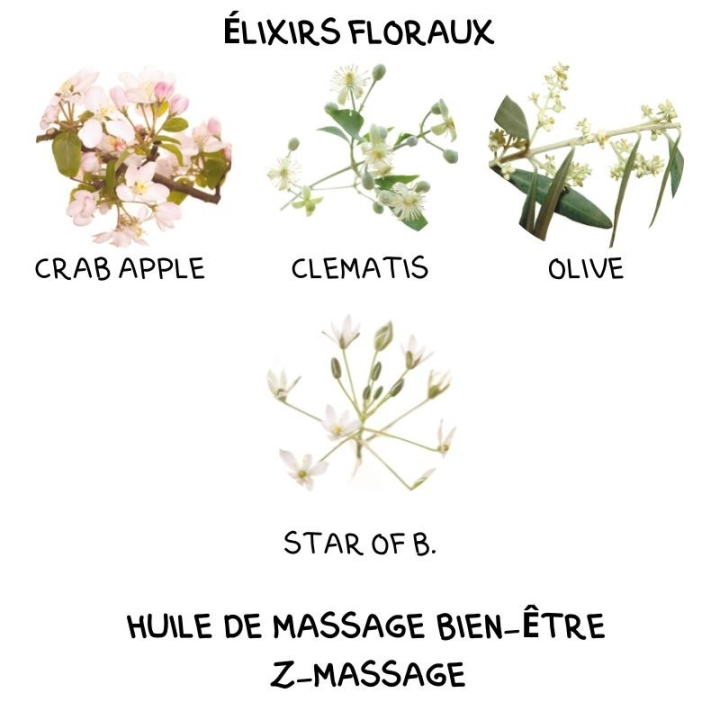 Huile de massage 100 ML Bien-être Z-Massage Laboratoire Mint-e 23 - mesfleursdebach.com 