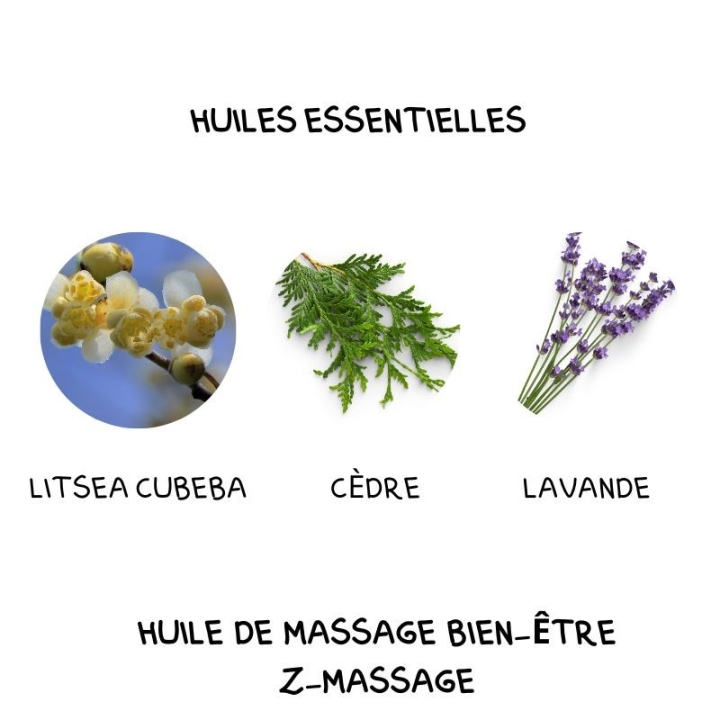 Huile de massage 500 ML Bien-être Z-Massage Laboratoire Mint-e 10 - mesfleursdebach.com 