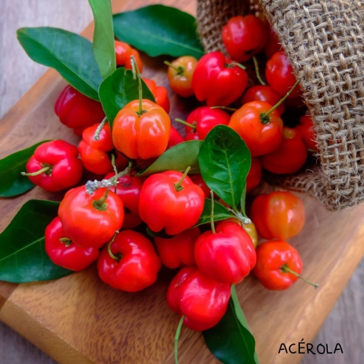 Crème Anti-Âge Cocooning Alchimy aux Fleurs de Bach et à l'acide hyaluronique Alchimy 16 - mesfleursdebach.com 