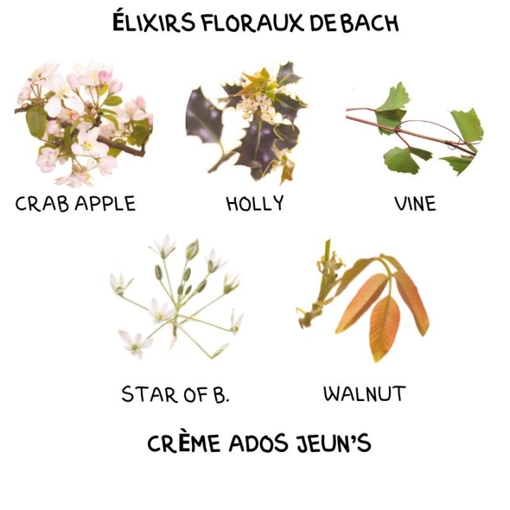 Crème Ados Jeun's Alchimy Aux Fleurs de Bach et Huiles Essentielles Alchimy 10 - mesfleursdebach.com 