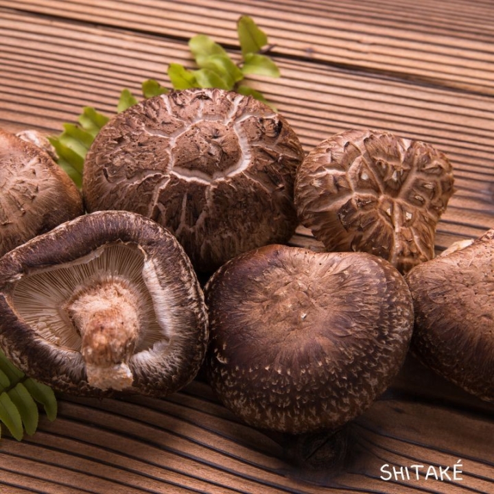Immuno4 Gélules Bio aux fleurs de Bach Laboratoire Mint-e 5 - mesfleursdebach.com 