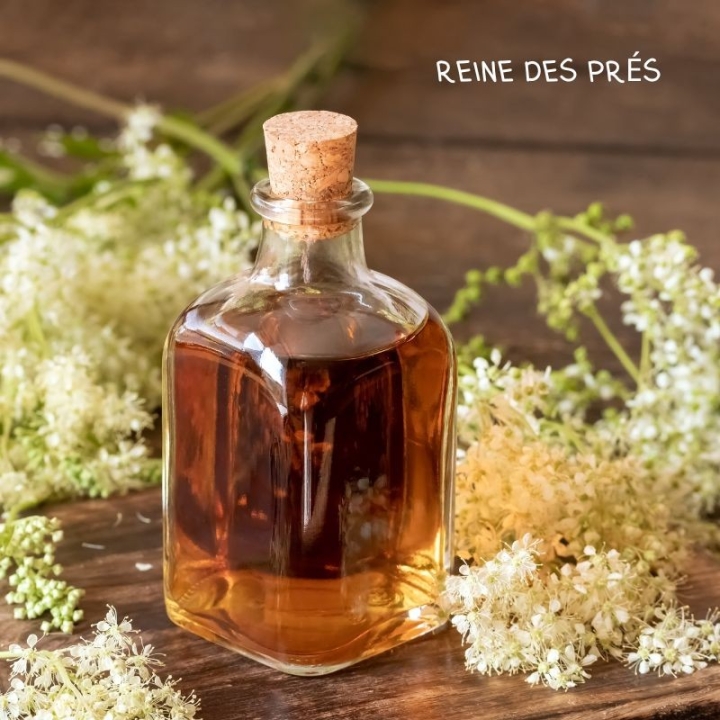 Immuno4 Gélules Bio aux fleurs de Bach Laboratoire Mint-e 8 - mesfleursdebach.com 