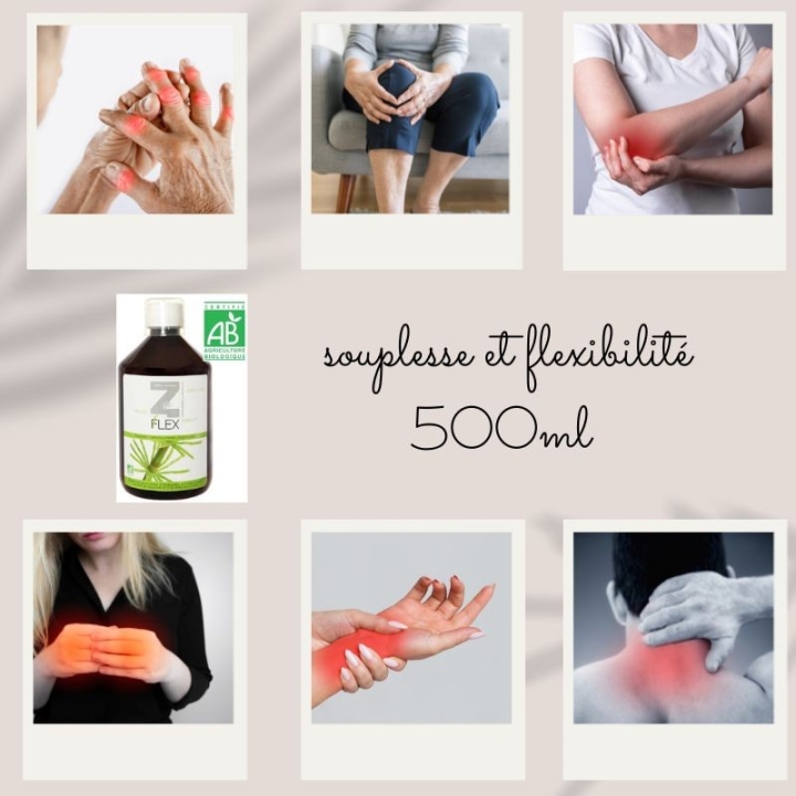 Z Flex bio souplesse et flexibilité 500 ml Laboratoire Mint-e 3 - mesfleursdebach.com 