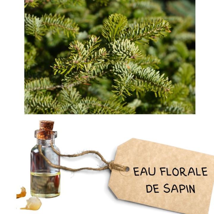 Spray gorge Bio Immuno4 50 ml aux fleurs de Bach Laboratoire Mint-e 8 - mesfleursdebach.com 