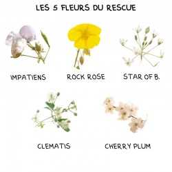 Healing Herbs - 5 Fleurs d'urgence Rescue compte-gouttes 30 ml - Julian Barnard