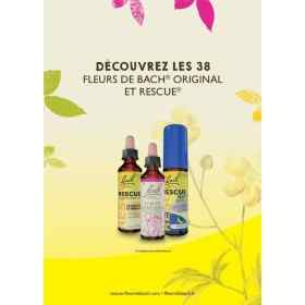 Pack de 10 flyers Bach Original gratuits
