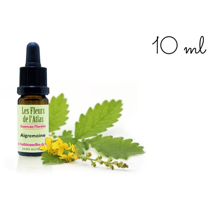 Fleurs de Bach SANS ALCOOL 10 ml - Coffret plein 38 fleurs de l'Atlas + 2 solutions d'urgence Rescue (1 jour et 1 nuit) Mes Fleu