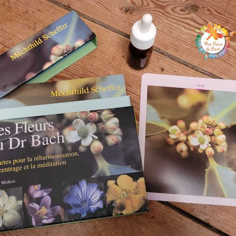 Grandes cartes des 38 fleurs de Bach Mechthild Scheffer 18*18cm