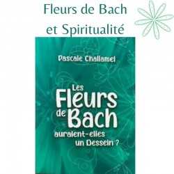 Fleurs de Bach et spiritualité: Les Fleurs de Bach auraient-elles un dessein? Pascale Challamel