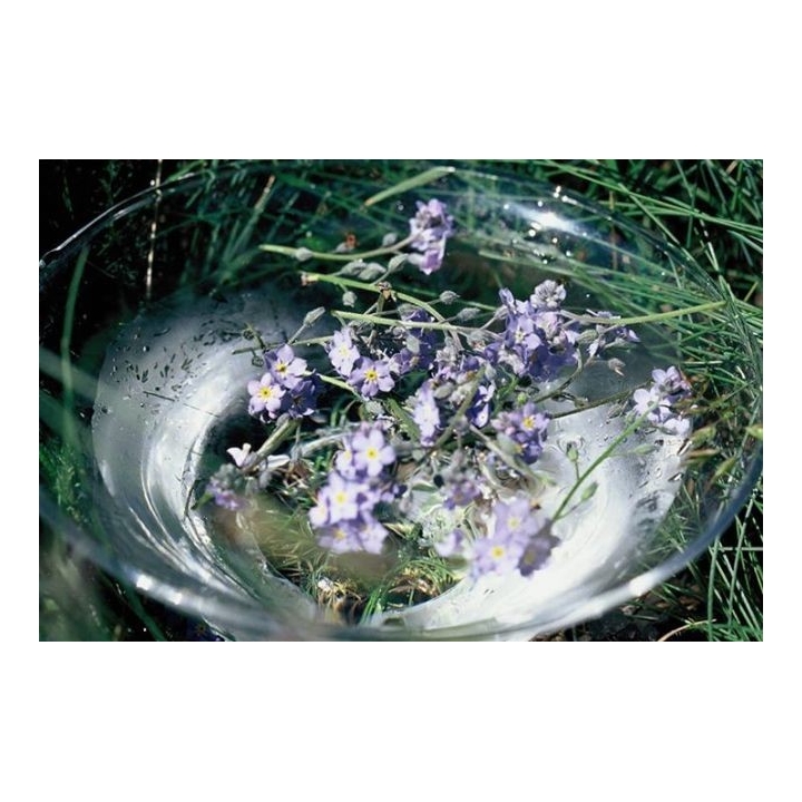 Fleurs de Bach SANS ALCOOL 10 ml - Coffret plein 38 fleurs de l'Atlas + 2 solutions d'urgence Rescue (1 jour et 1 nuit) Mes Fleu