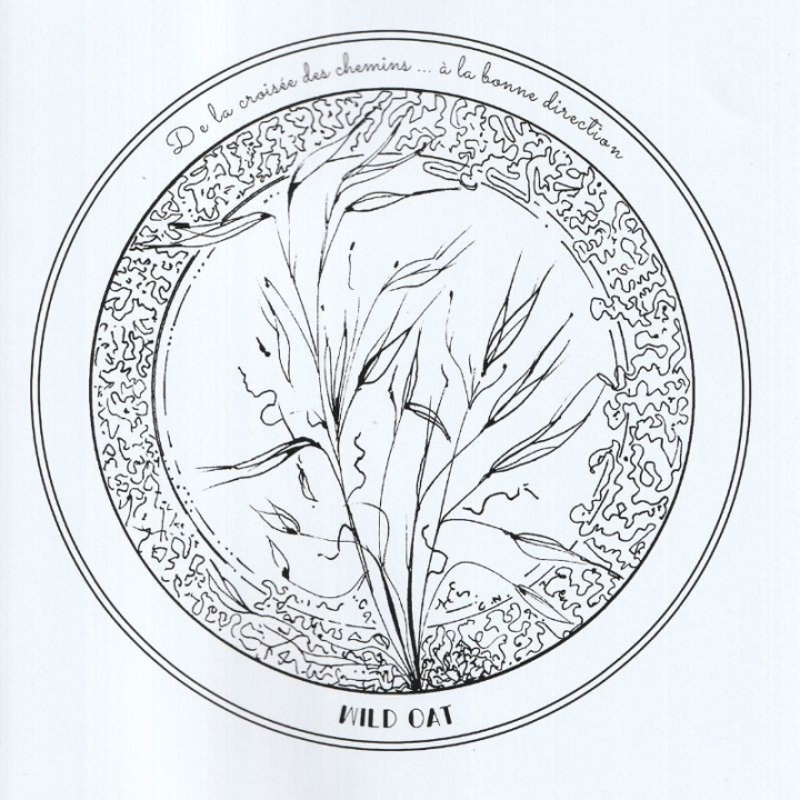 Fleurs de Bach et mandalas à colorier par Caroline Noland Mes Fleurs de BACH 4 - mesfleursdebach.com 