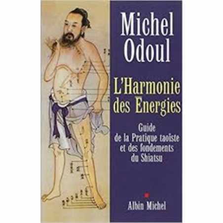 L'harmonie des énergies, Michel Odoul
