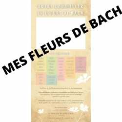 50 flyers professionnels Fleurs de Bach: rajoutez votre tampon!!