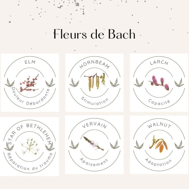Crème ARTICUL'R Alchimy Aux Fleurs de Bach et Huiles Essentielles Alchimy 18 - mesfleursdebach.com 