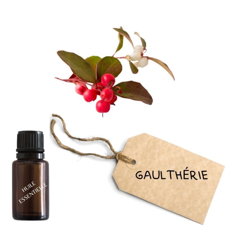 Crème ARTICUL'R Alchimy Aux Fleurs de Bach et Huiles Essentielles Alchimy 12 - mesfleursdebach.com 