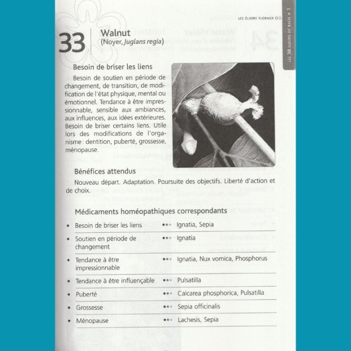 Fleurs de Bach et Homéopathie du Dr Alain Horvilleur Mes Fleurs de BACH 5 - mesfleursdebach.com 