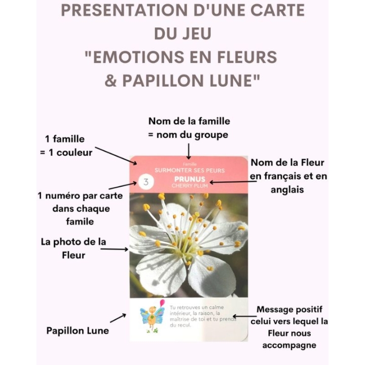 Cartes enfants Fleurs de Bach "Emotions en Fleurs et Papillon Lune" - 11*7cm Mes Fleurs de BACH 5 - mesfleursdebach.com 