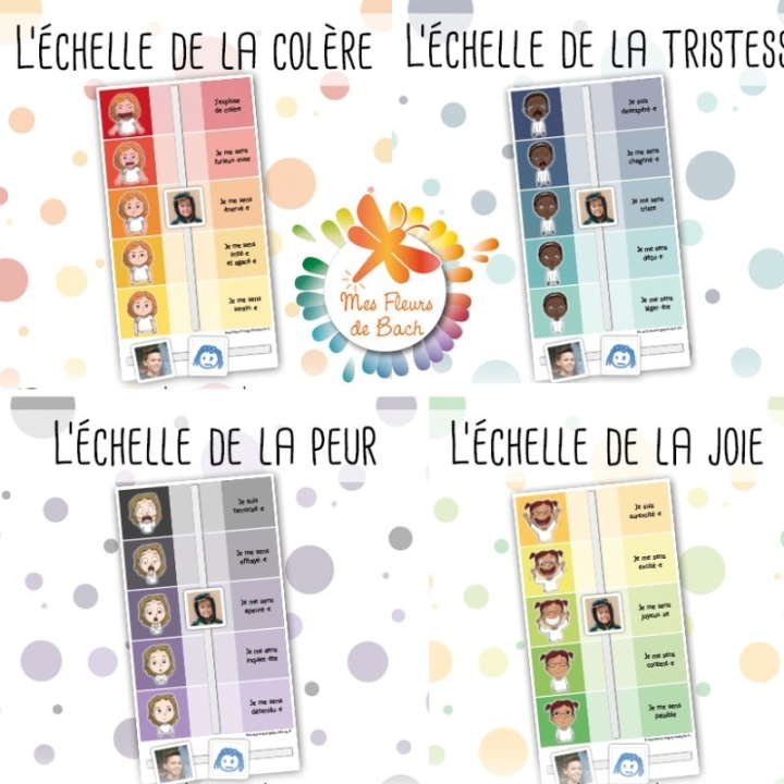 Les échelles des émotions Mes Fleurs de BACH 2 - mesfleursdebach.com 