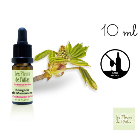 Fleurs de l'atlas Chestnut Bud compte-gouttes 10 ml sans alcool Mes fleurs de bach