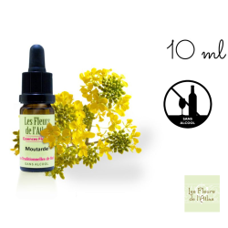 Fleurs de l'atlas Mustard compte-gouttes 10 ml sans alcool Mes fleurs de bach